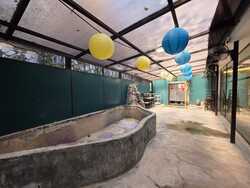 Sembawang Hills Estate (D20), Shop House #449897861